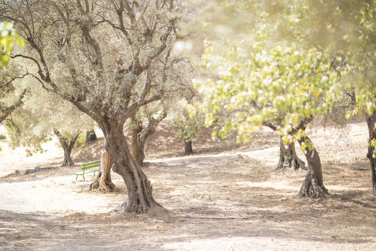 Domaine Des Gueules Cassees 호텔 라발레트듀바 외부 사진